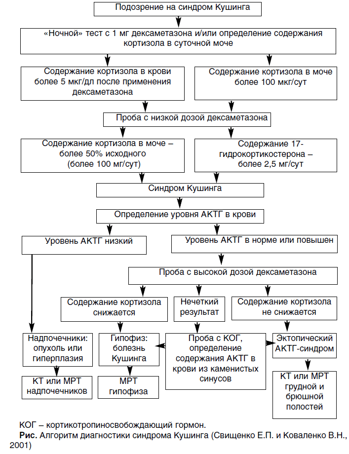 patogenezi hipertenzije u feokromocitoma